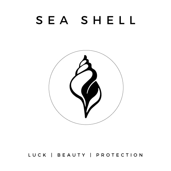 SEA SHELL - NOGU.studio